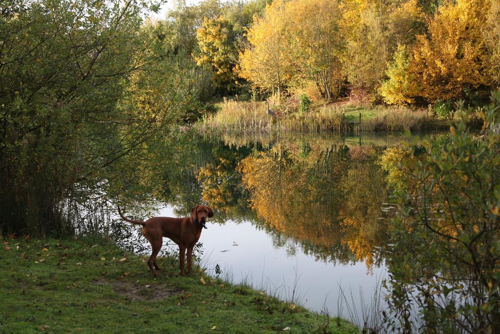 Greenbanks Hotel Norfolk Great Fransham Esterno foto